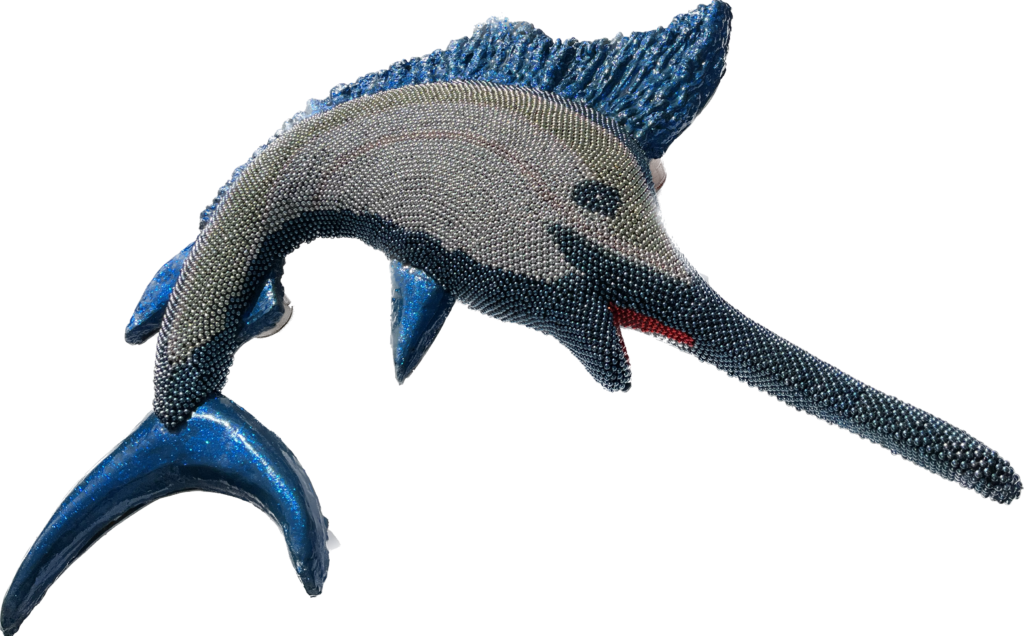 Zeilvis